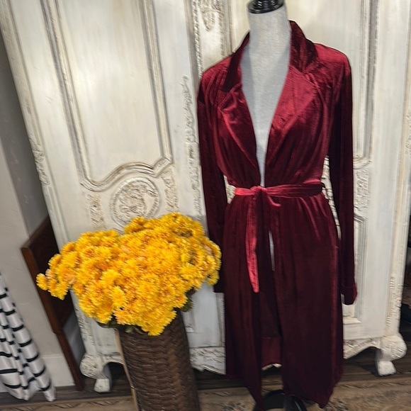 Elegant Velvet Robe in Rich Red Outer Wear or Lounging - Picture 1 of 13